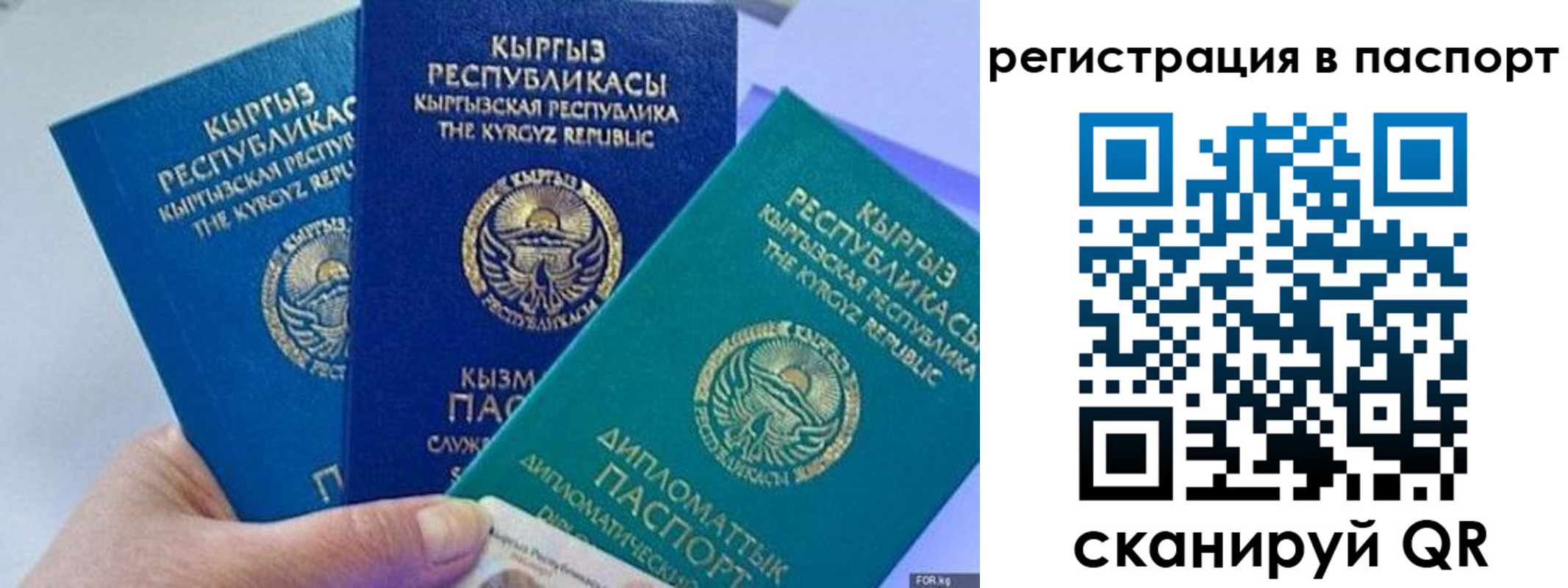 прописка 2025 в Крымске